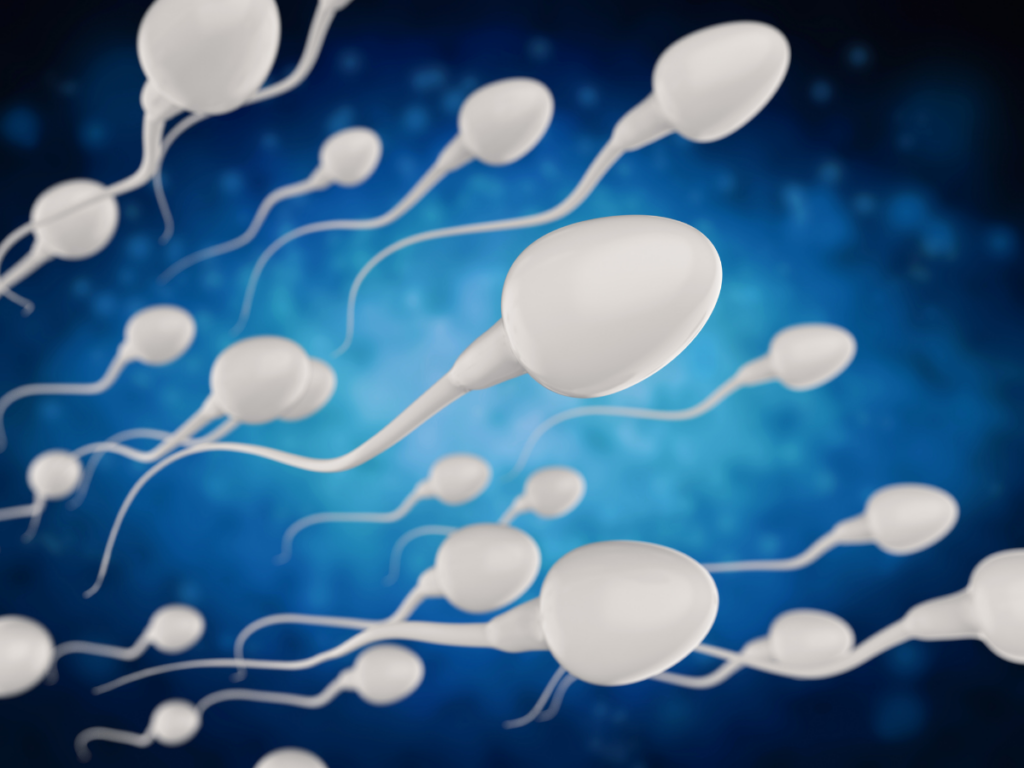 Boosting Male Fertility